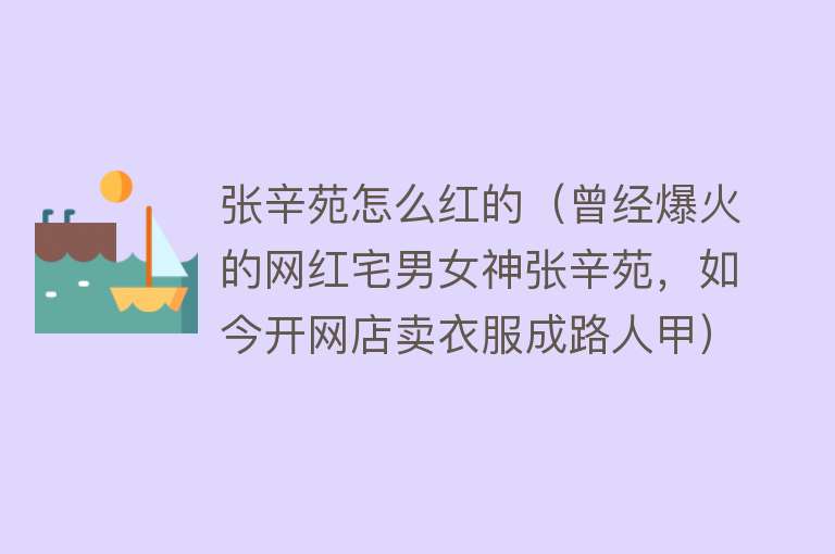 张辛苑怎么红的（曾经爆火的网红宅男女神张辛苑，如今开网店卖衣服成路人甲） 