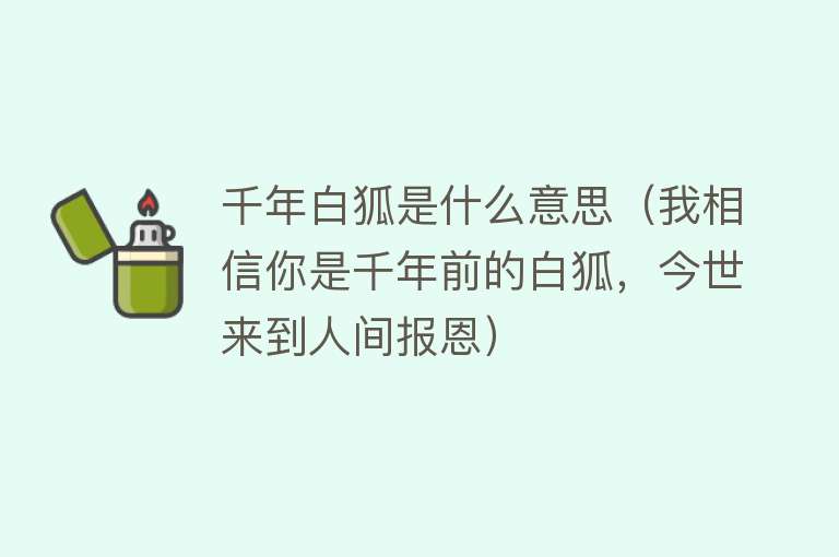 千年白狐是什么意思（我相信你是千年前的白狐，今世来到人间报恩） 