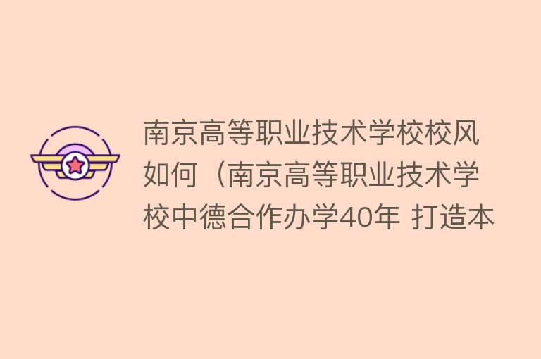 南京高等职业技术学校校风如何（南京高等职业技术学校中德合作办学40年 打造本土“双元制”职教人才培养“南京方案”） 