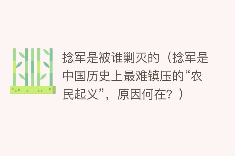 捻军是被谁剿灭的（捻军是中国历史上最难镇压的“农民起义”，原因何在？） 