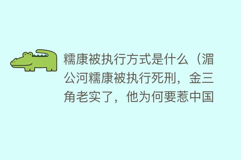 糯康被执行方式是什么(湄公河糯康被执行死刑,金三角老实了,他为何要惹中国?)