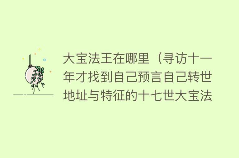 大宝法王在哪里(寻访十一年才找到自己预言自己转世地址与特征的十七世大宝法王)