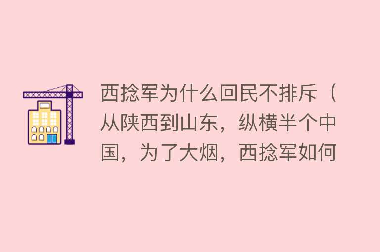 西捻军为什么回民不排斥（从陕西到山东，纵横半个中国，为了大烟，西捻军如何被清军围歼？） 