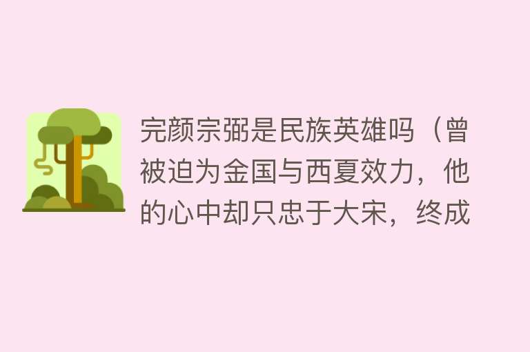 完颜宗弼是民族英雄吗（曾被迫为金国与西夏效力，他的心中却只忠于大宋，终成民族英雄） 