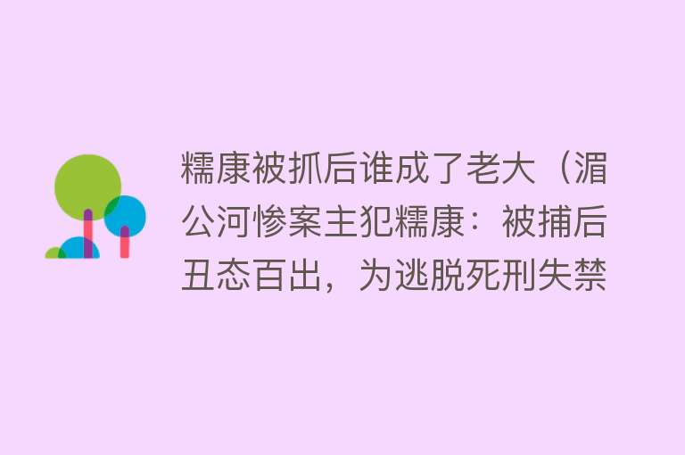 糯康被抓后谁成了老大(湄公河惨案主犯糯康:被捕后丑态百出,为逃脱死刑失禁,泪涕横流)