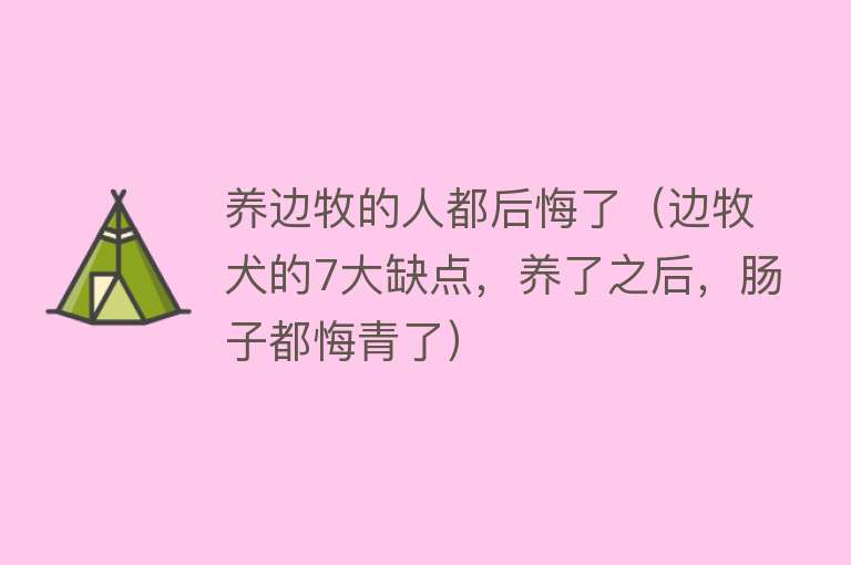 养边牧的人都后悔了（边牧犬的7大缺点，养了之后，肠子都悔青了） 