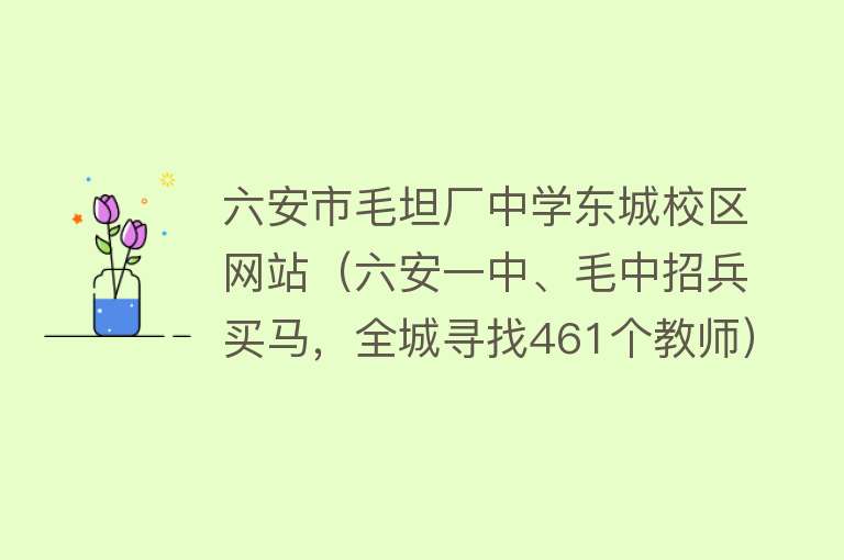 六安市毛坦厂中学东城校区网站（六安一中、毛中招兵买马，全城寻找461个教师） 