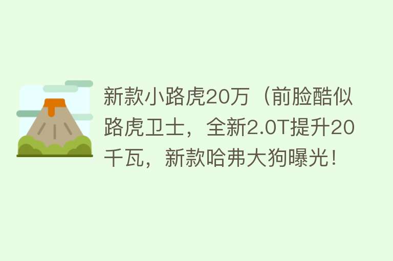 新款小路虎20万（前脸酷似路虎卫士，全新2.0T提升20千瓦，新款哈弗大狗曝光！） 