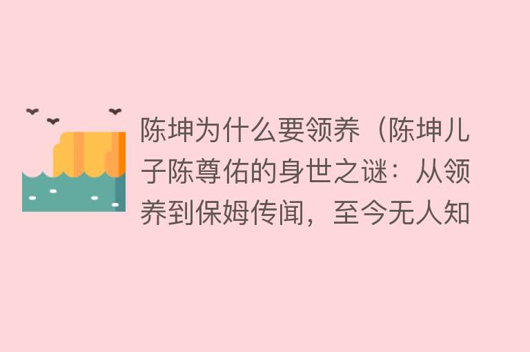 陈坤为什么要领养（陈坤儿子陈尊佑的身世之谜：从领养到保姆传闻，至今无人知晓） 