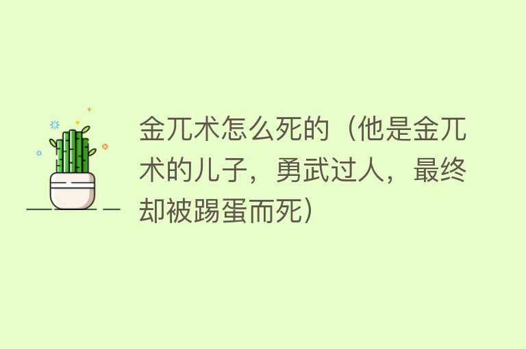 金兀术怎么死的（他是金兀术的儿子，勇武过人，最终却被踢蛋而死）