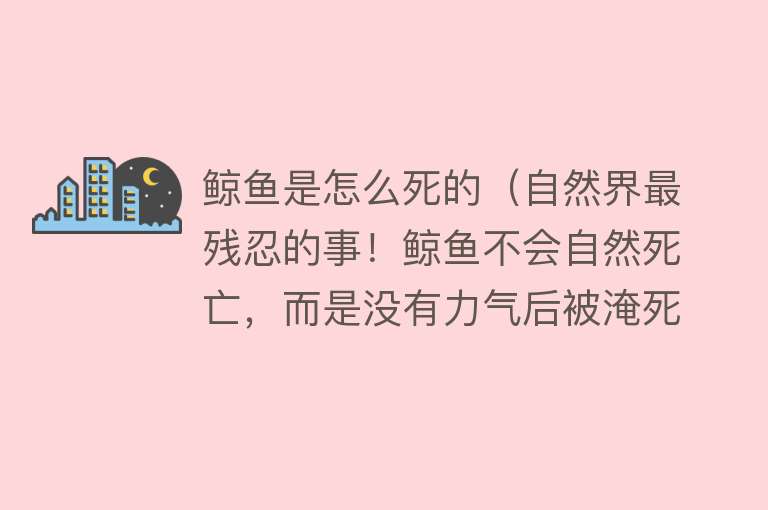 鲸鱼是怎么死的（自然界最残忍的事！鲸鱼不会自然死亡，而是没有力气后被淹死）