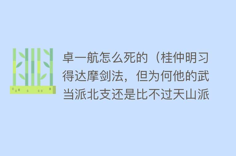 卓一航怎么死的（桂仲明习得达摩剑法，但为何他的武当派北支还是比不过天山派？）