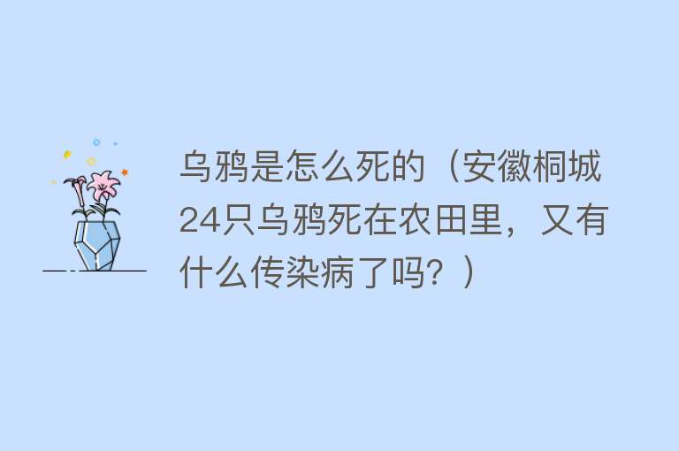 乌鸦是怎么死的（安徽桐城24只乌鸦死在农田里，又有什么传染病了吗？）