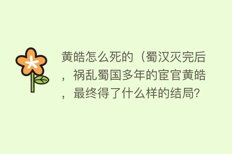 黄皓怎么死的（蜀汉灭完后，祸乱蜀国多年的宦官黄皓，最终得了什么样的结局？）