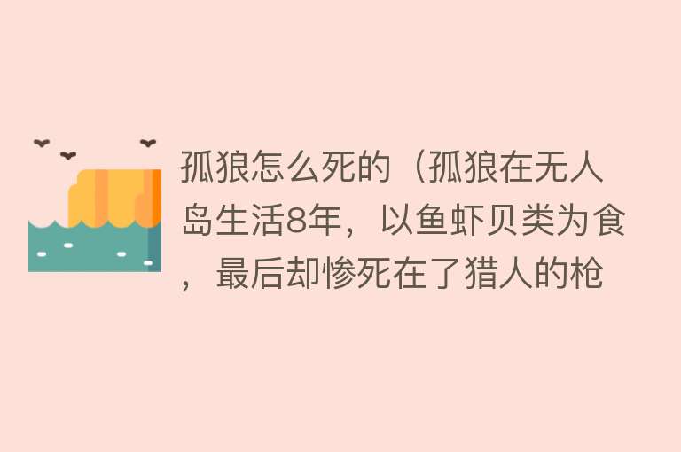 孤狼怎么死的（孤狼在无人岛生活8年，以鱼虾贝类为食，最后却惨死在了猎人的枪下）