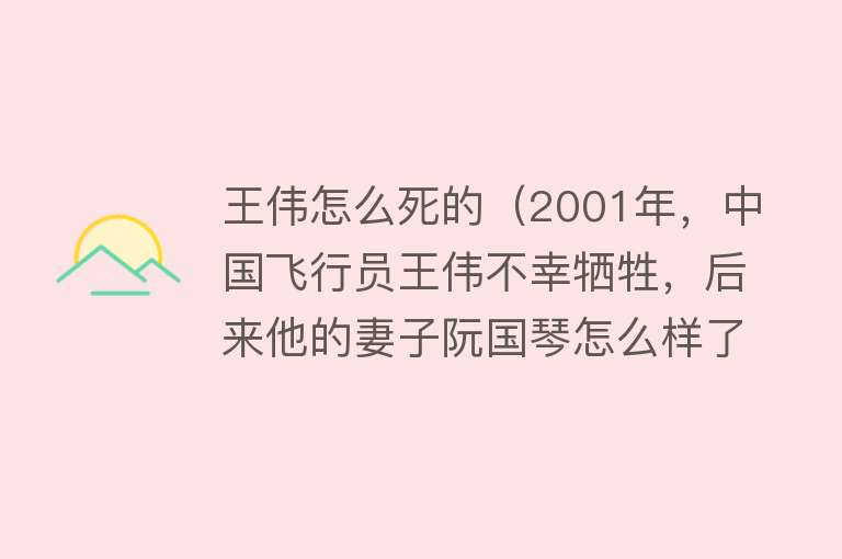 王伟怎么死的（2001年，中国飞行员王伟不幸牺牲，后来他的妻子阮国琴怎么样了）