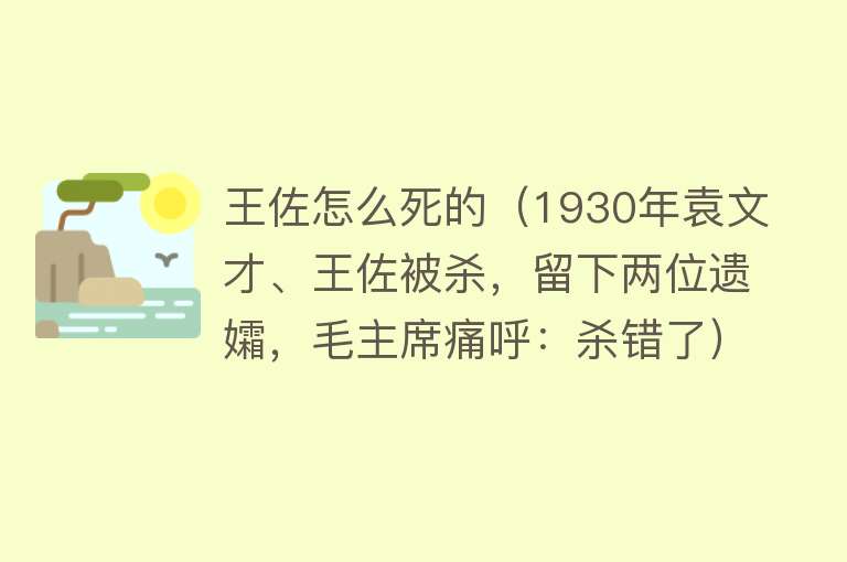 王佐怎么死的（1930年袁文才、王佐被杀，留下两位遗孀，毛主席痛呼：杀错了）