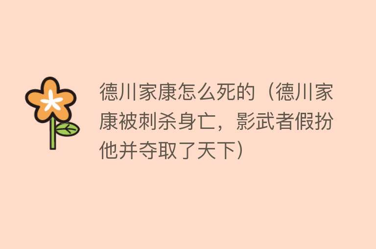 德川家康怎么死的（德川家康被刺杀身亡，影武者假扮他并夺取了天下）