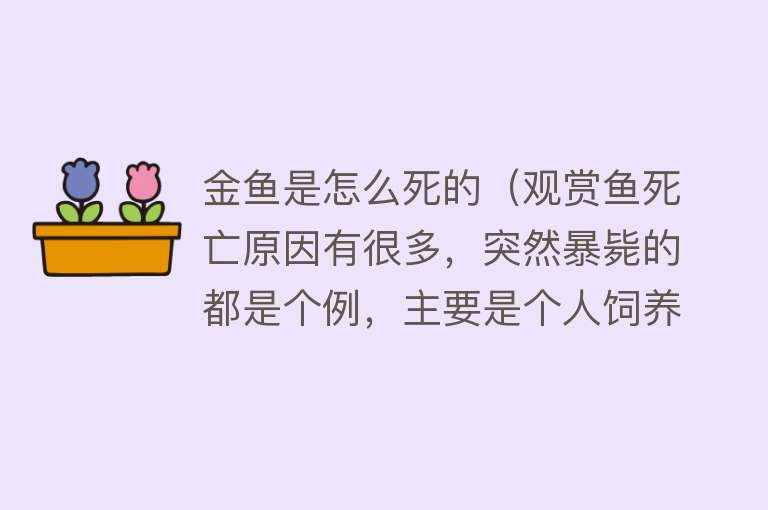 金鱼是怎么死的（观赏鱼死亡原因有很多，突然暴毙的都是个例，主要是个人饲养问题）