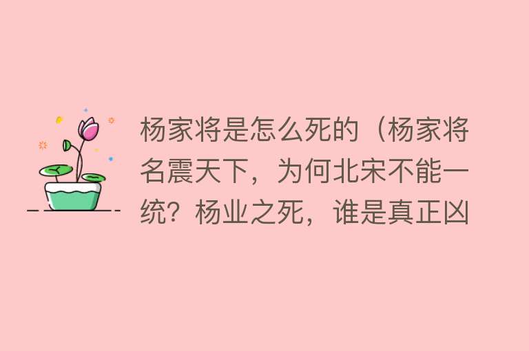 杨家将是怎么死的（杨家将名震天下，为何北宋不能一统？杨业之死，谁是真正凶手？）