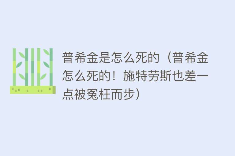 普希金是怎么死的（普希金怎么死的！施特劳斯也差一点被冤枉而步）