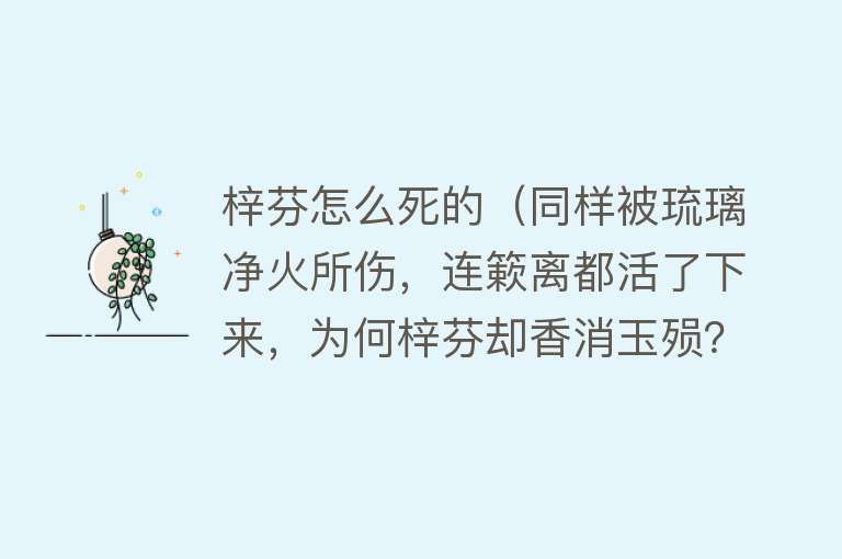 梓芬怎么死的（同样被琉璃净火所伤，连簌离都活了下来，为何梓芬却香消玉殒？）