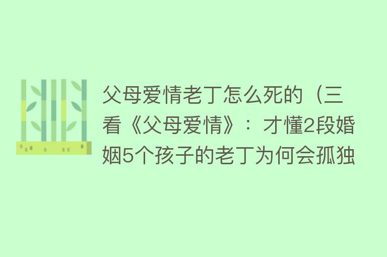 父母爱情老丁怎么死的（三看《父母爱情》：才懂2段婚姻5个孩子的老丁为何会孤独终老）