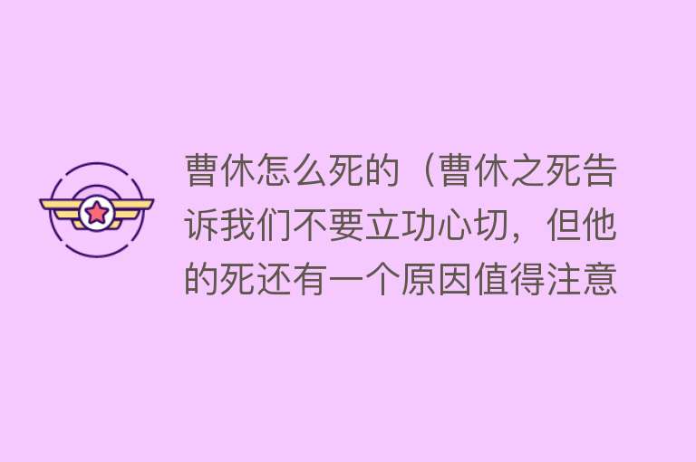 曹休怎么死的（曹休之死告诉我们不要立功心切，但他的死还有一个原因值得注意）