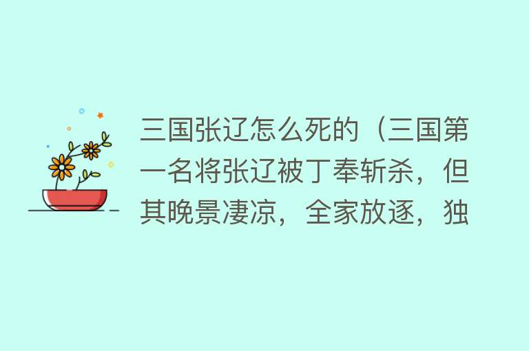 三国张辽怎么死的（三国第一名将张辽被丁奉斩杀，但其晚景凄凉，全家放逐，独子惨死）