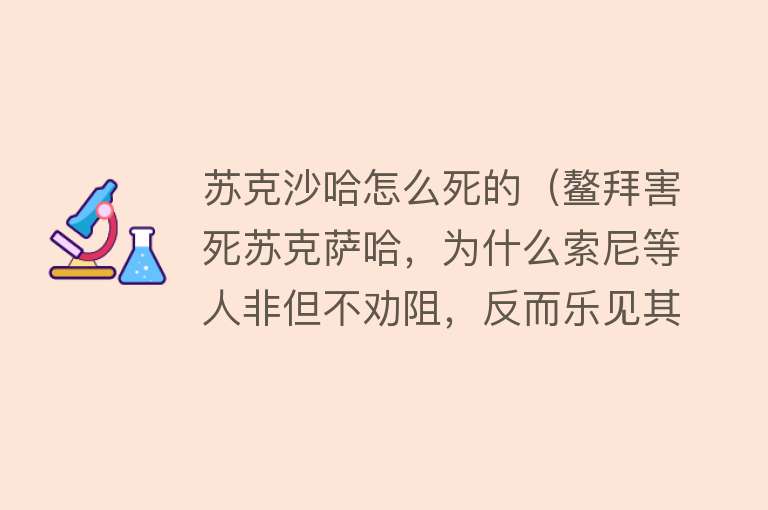 苏克沙哈怎么死的（鳌拜害死苏克萨哈，为什么索尼等人非但不劝阻，反而乐见其成？）