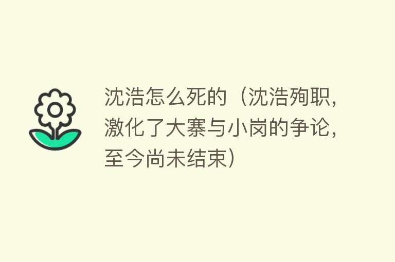 沈浩怎么死的（沈浩殉职，激化了大寨与小岗的争论，至今尚未结束）