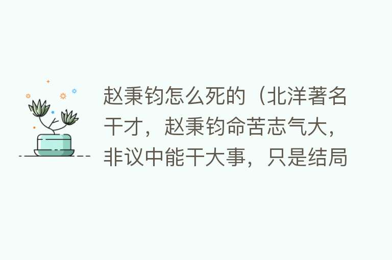 赵秉钧怎么死的（北洋著名干才，赵秉钧命苦志气大，非议中能干大事，只是结局太惨）