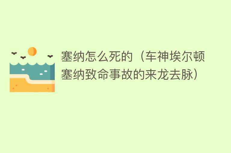 塞纳怎么死的（车神埃尔顿塞纳致命事故的来龙去脉）