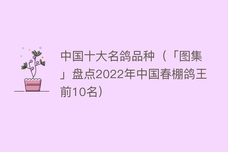 中国十大名鸽品种（「图集」盘点2022年中国春棚鸽王前10名） 