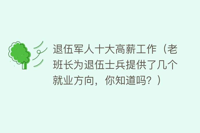 退伍军人十大高薪工作（老班长为退伍士兵提供了几个就业方向，你知道吗？） 