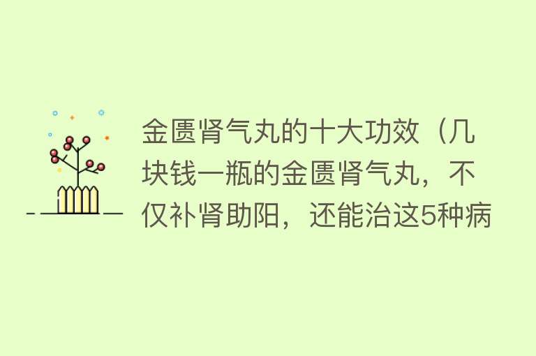 金匮肾气丸的十大功效（几块钱一瓶的金匮肾气丸，不仅补肾助阳，还能治这5种病）