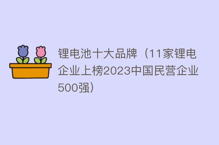 锂电池十大品牌（11家锂电企业上榜2023中国民营企业500强） 