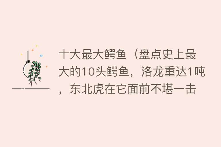 十大最大鳄鱼（盘点史上最大的10头鳄鱼，洛龙重达1吨，东北虎在它面前不堪一击）