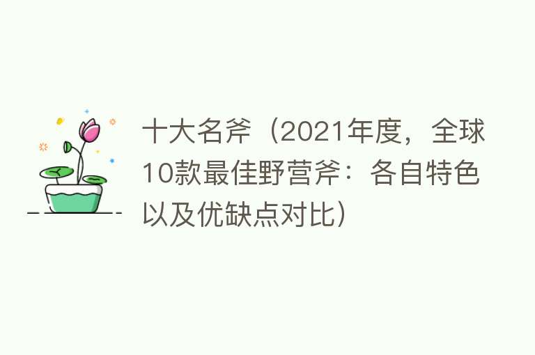 十大名斧（2021年度，全球10款最佳野营斧：各自特色以及优缺点对比） 