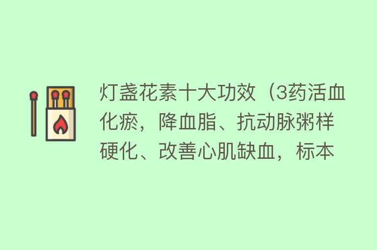 灯盏花素十大功效（3药活血化瘀，降血脂、抗动脉粥样硬化、改善心肌缺血，标本兼治）