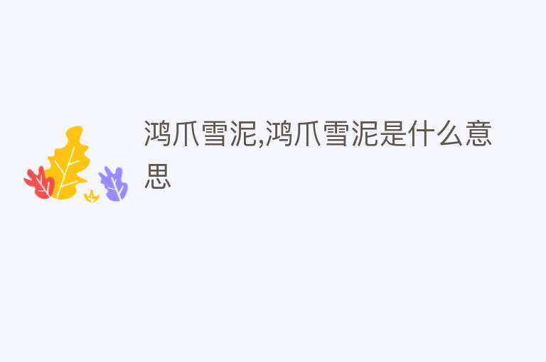 鸿爪雪泥,鸿爪雪泥是什么意思 