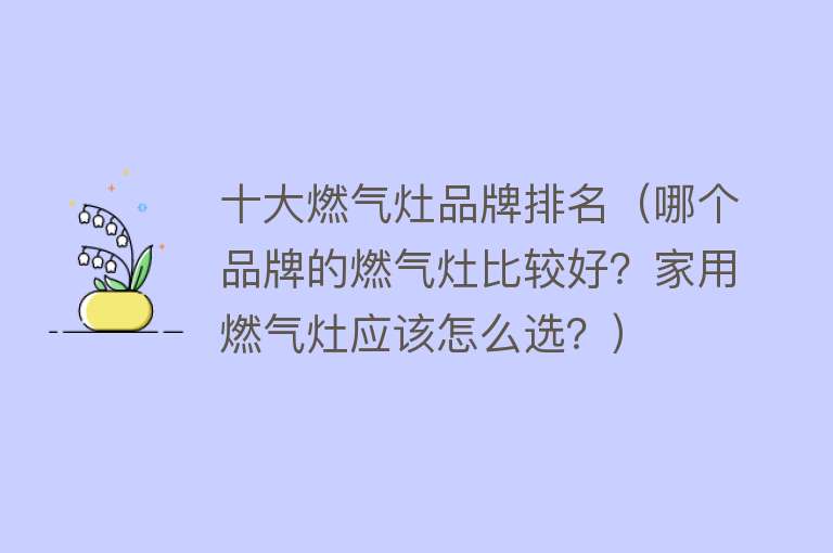 十大燃气灶品牌排名（哪个品牌的燃气灶比较好？家用燃气灶应该怎么选？）