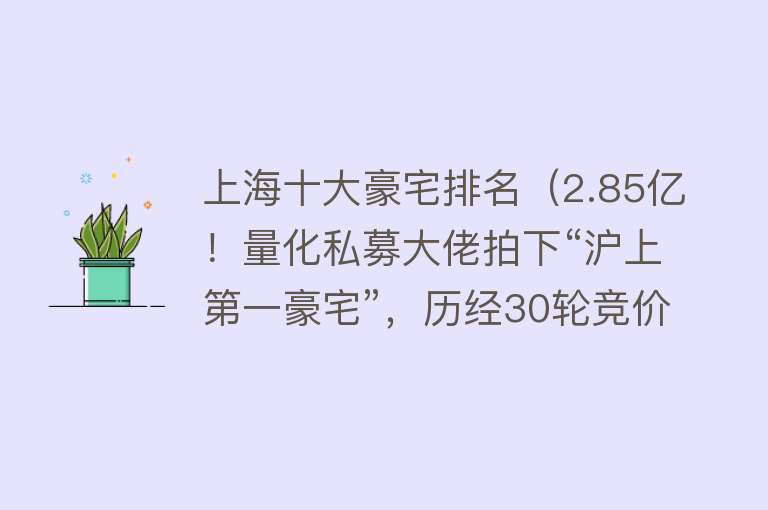 上海十大豪宅排名（2.85亿！量化私募大佬拍下“沪上第一豪宅”，历经30轮竞价、超7万人围观）