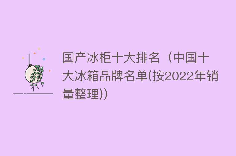 国产冰柜十大排名（中国十大冰箱品牌名单(按2022年销量整理)）