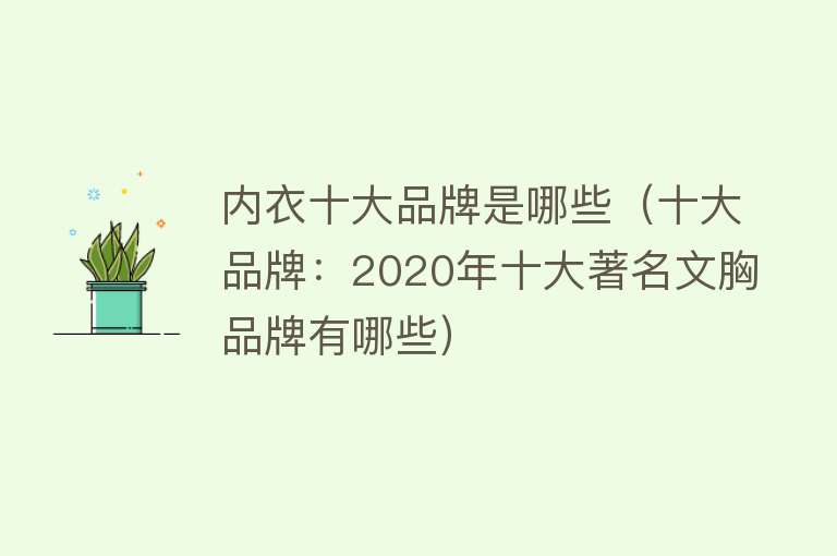 内衣十大品牌是哪些（十大品牌：2020年十大著名文胸品牌有哪些） 