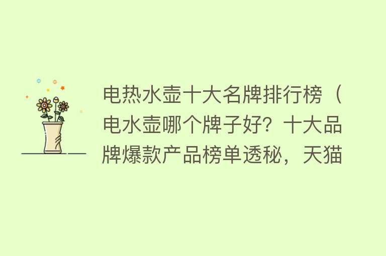 电热水壶十大名牌排行榜（电水壶哪个牌子好？十大品牌爆款产品榜单透秘，天猫京东苏宁数据）