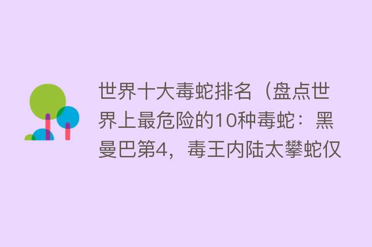 世界十大毒蛇排名（盘点世界上最危险的10种毒蛇：黑曼巴第4，毒王内陆太攀蛇仅第3）