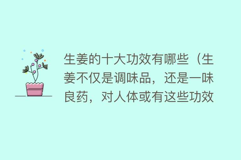 生姜的十大功效有哪些（生姜不仅是调味品，还是一味良药，对人体或有这些功效，不妨看看）