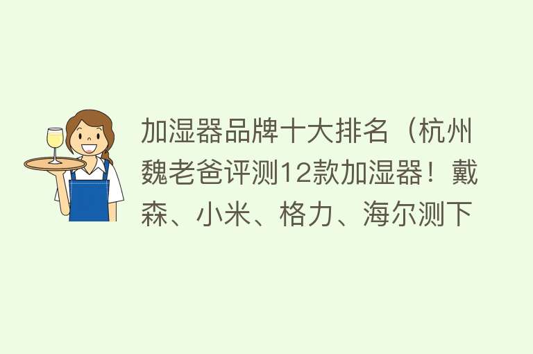 加湿器品牌十大排名（杭州魏老爸评测12款加湿器！戴森、小米、格力、海尔测下来……）