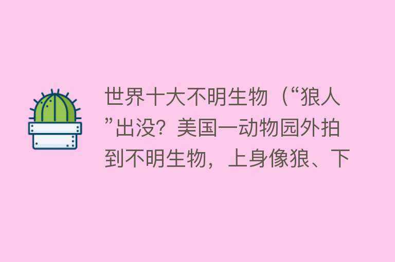 世界十大不明生物（“狼人”出没？美国一动物园外拍到不明生物，上身像狼、下身像人） 